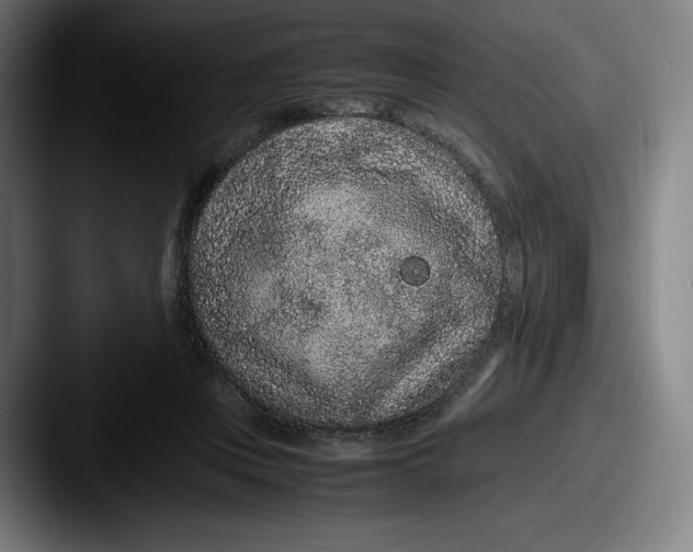 X0000087580359200705181205