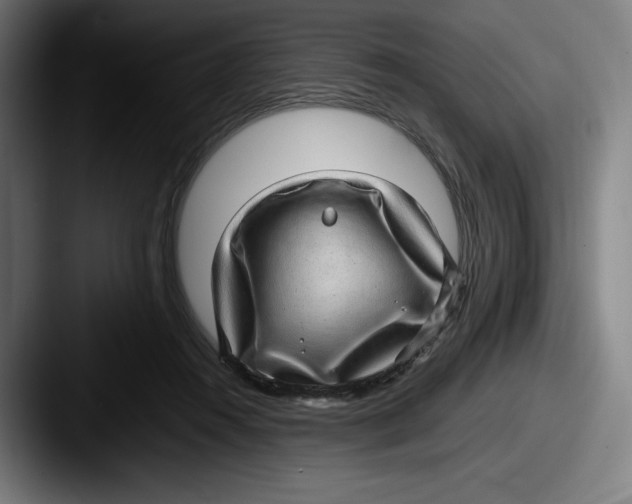 X0000087580360200705181205