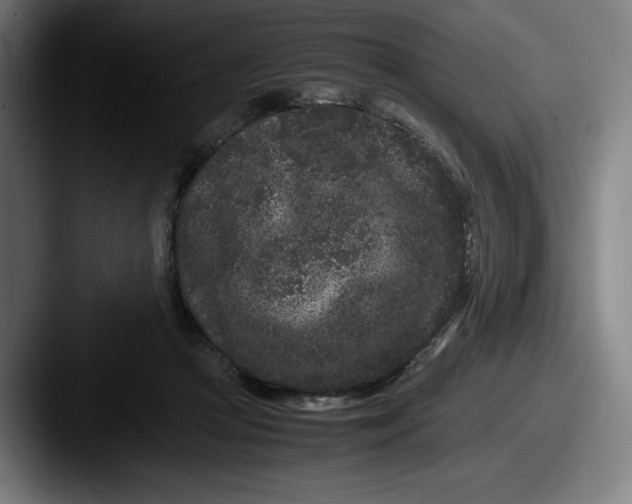 X0000087580361200705181205