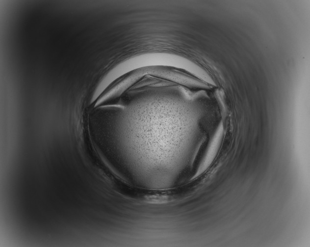 X0000087580362200705181205