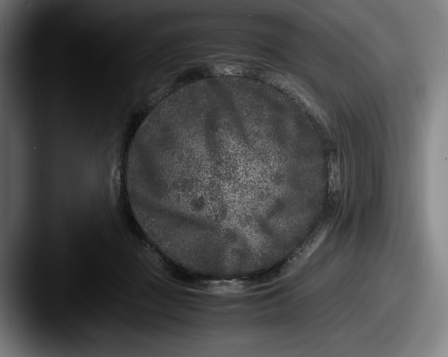 X0000087580363200705181205
