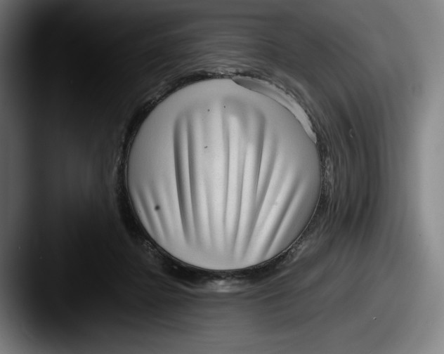 X0000087580364200705181205