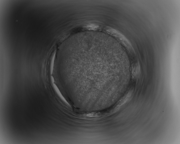 X0000087580365200705181205