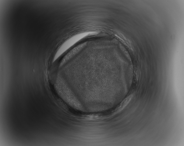 X0000087580366200705181205