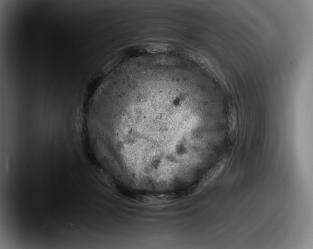 X0000087580367200705181205