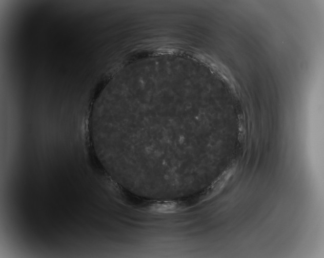 X0000087580369200705181205