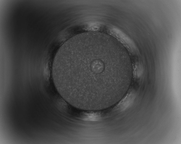 X0000087580370200705181205