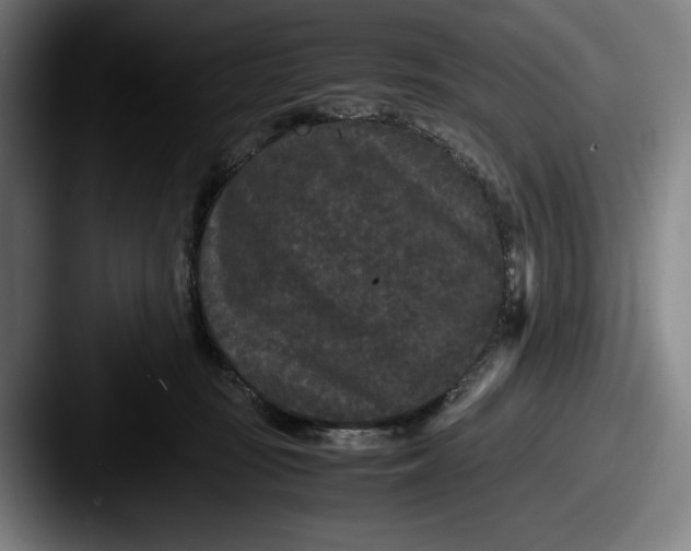 X0000087580371200705181205