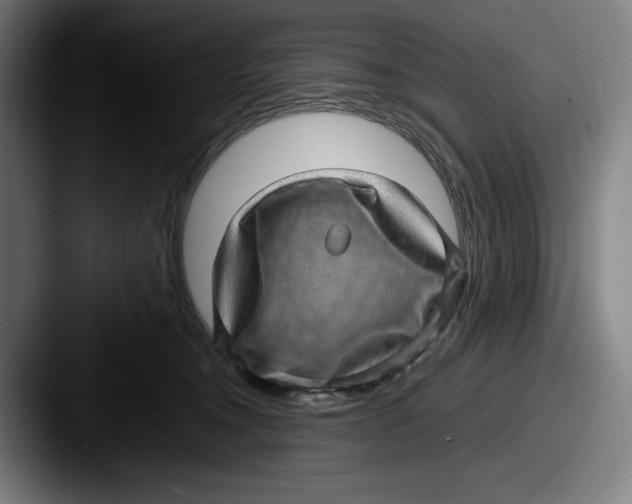 X0000087580372200705181205