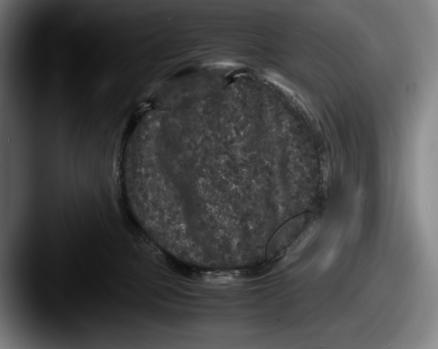 X0000087580373200705181205