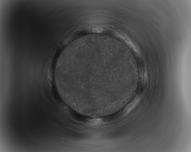 X0000087580374200705181205