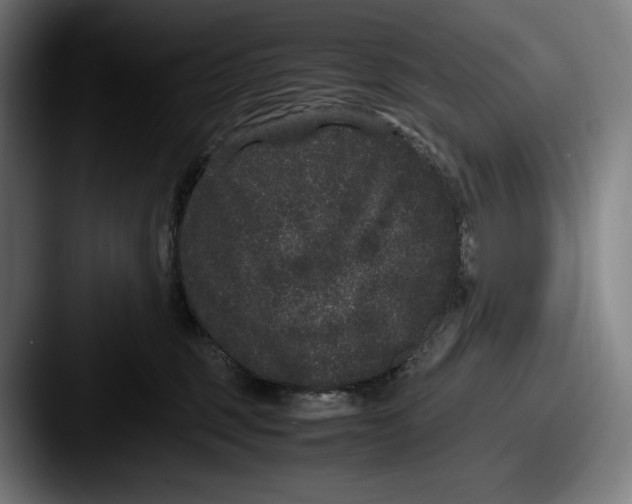 X0000087580375200705181205