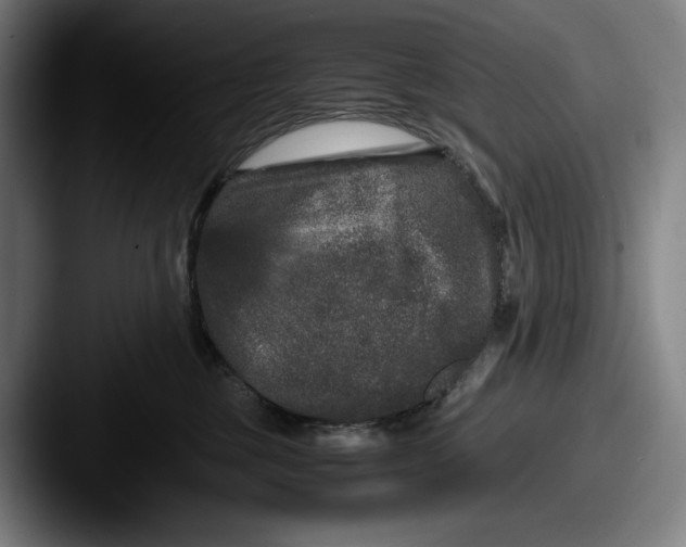 X0000087580377200705181205