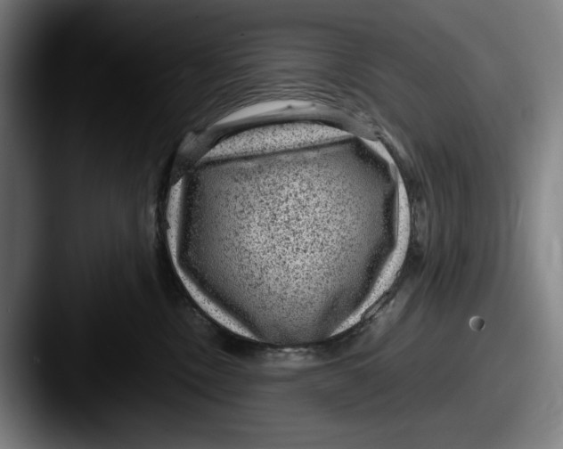 X0000087580378200705181205