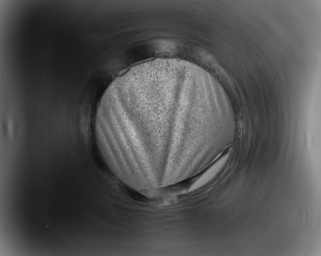 X0000087580379200705181205