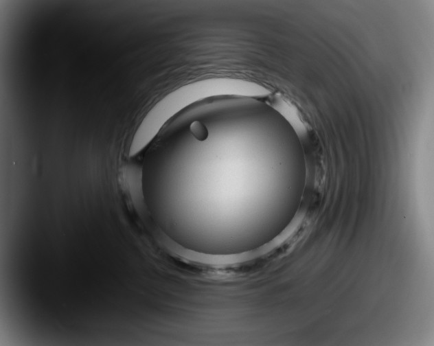 X0000087580380200705181205