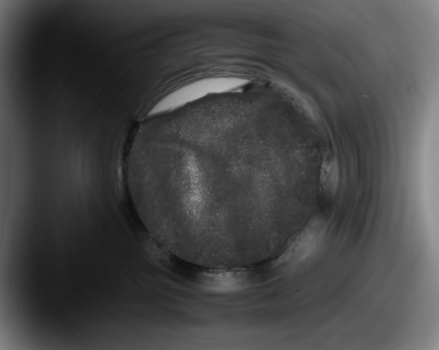 X0000087580381200705181205