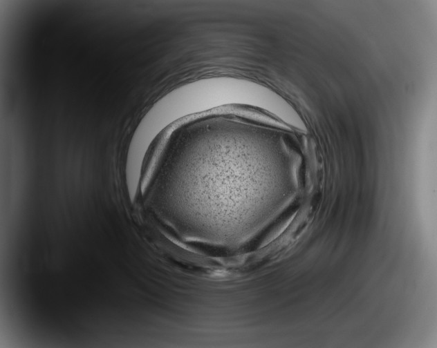 X0000087580382200705181205