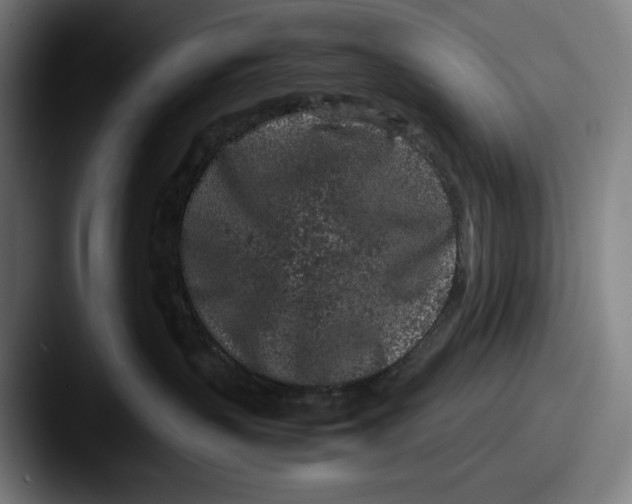 X0000087580383200705181205