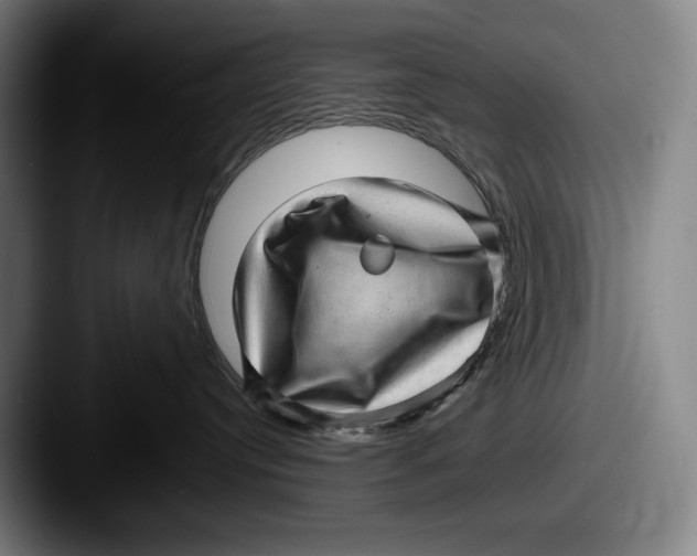 X0000087580384200705181205