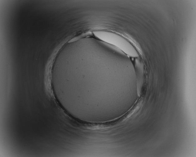 X0000087580385200705181205