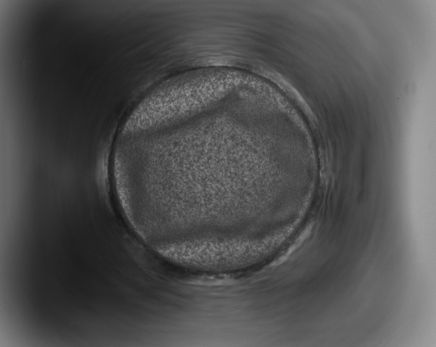 X0000087580386200705181205
