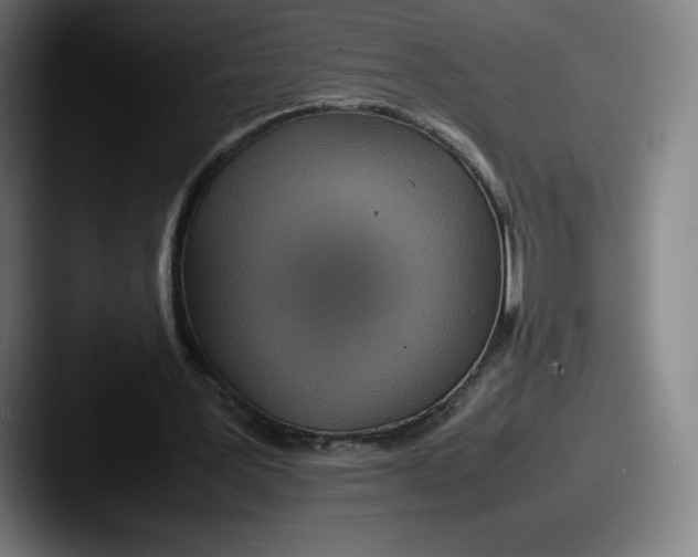 X0000087580387200705181205