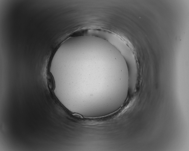 X0000087580389200705181205