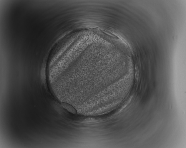 X0000087580390200705181205