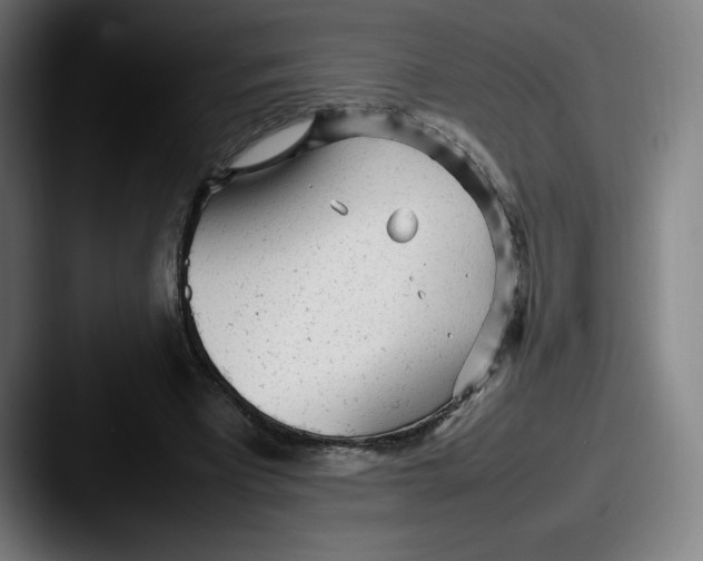 X0000087580393200705181205