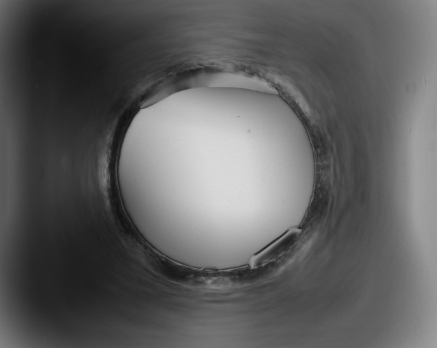 X0000087580395200705181205