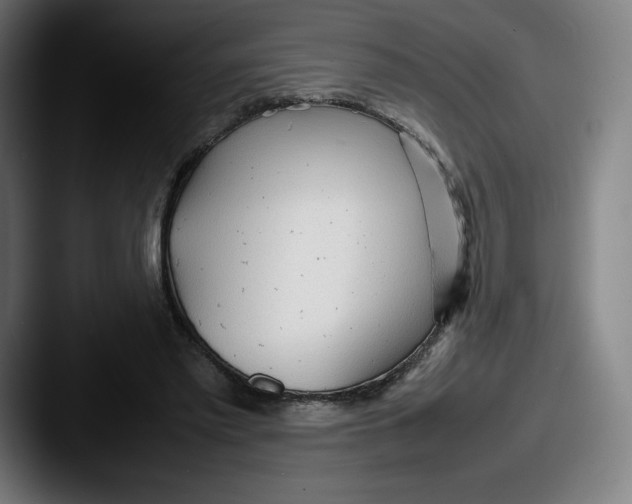 X0000087580397200705181205