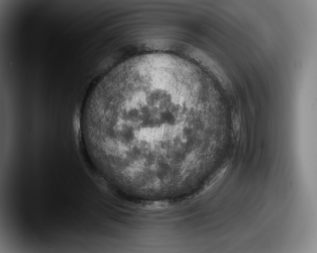 X0000087580398200705181205