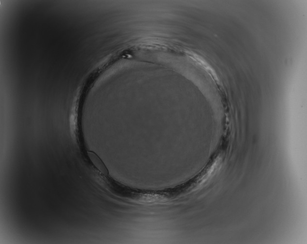 X0000087580399200705181205