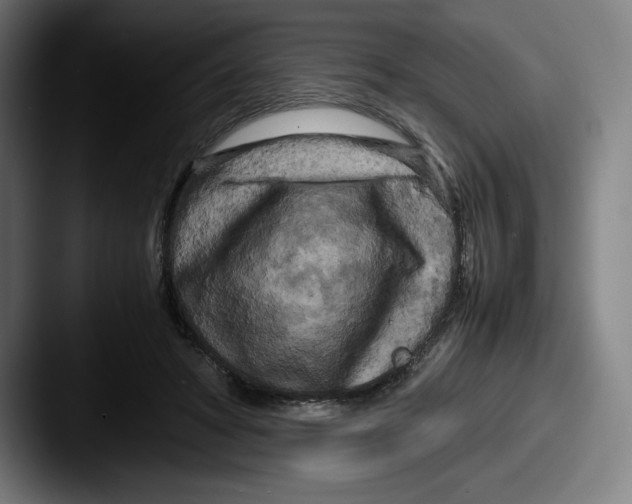 X0000087580402200705181205