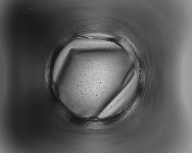 X0000087580403200705181205