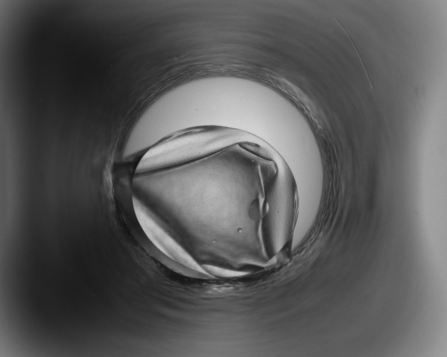 X0000087580405200705181204