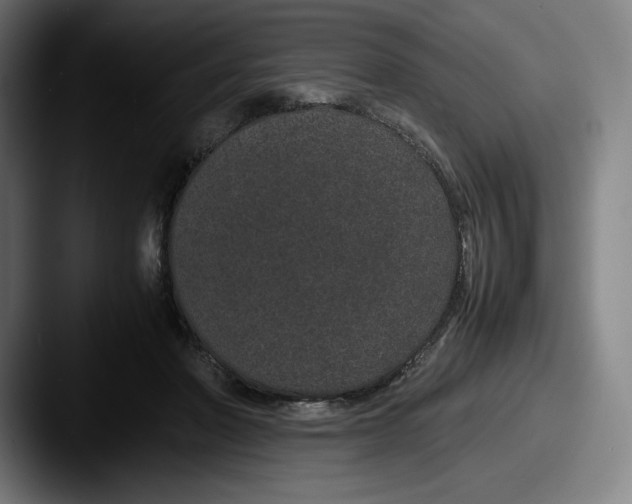 X0000087580406200705181204