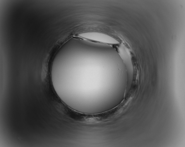 X0000087580407200705181204