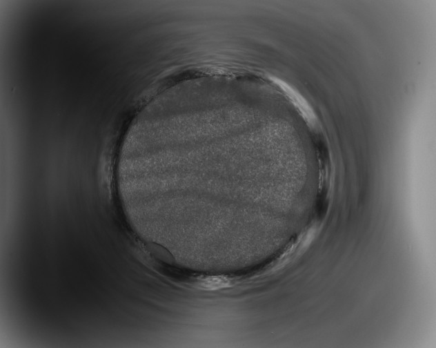 X0000087580409200705181204