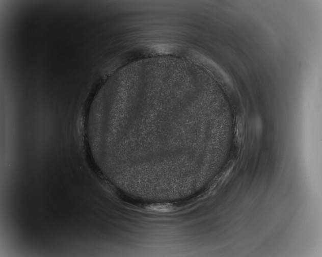 X0000087580410200705181204