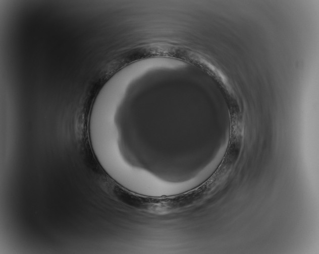 X0000087580411200705181204