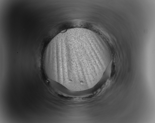 X0000087580413200705181204