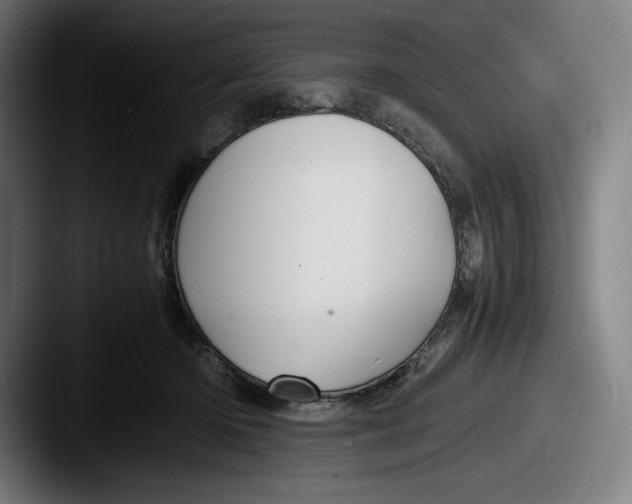 X0000087580414200705181204