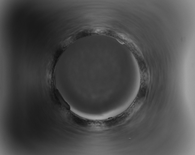 X0000087580415200705181204