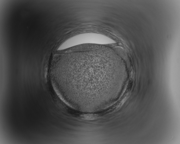 X0000087580417200705181204