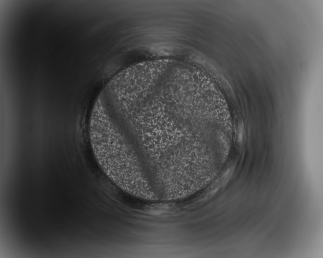 X0000087580418200705181204