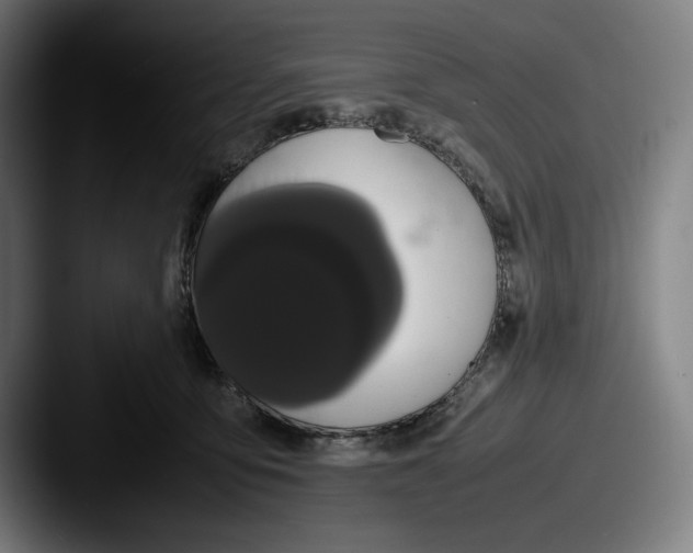 X0000087580419200705181204