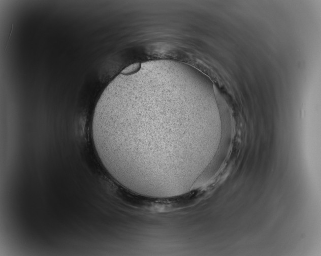 X0000087580420200705181204