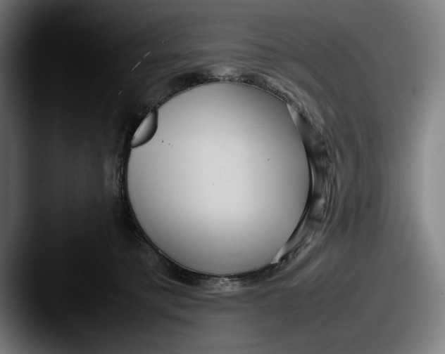 X0000087580421200705181204